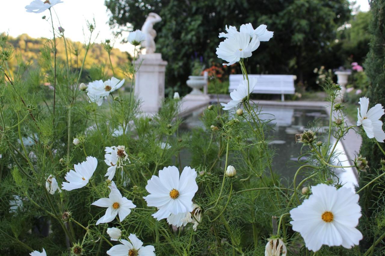 Castello du Grand Jardin Bed and Breakfast Valensole Esterno foto