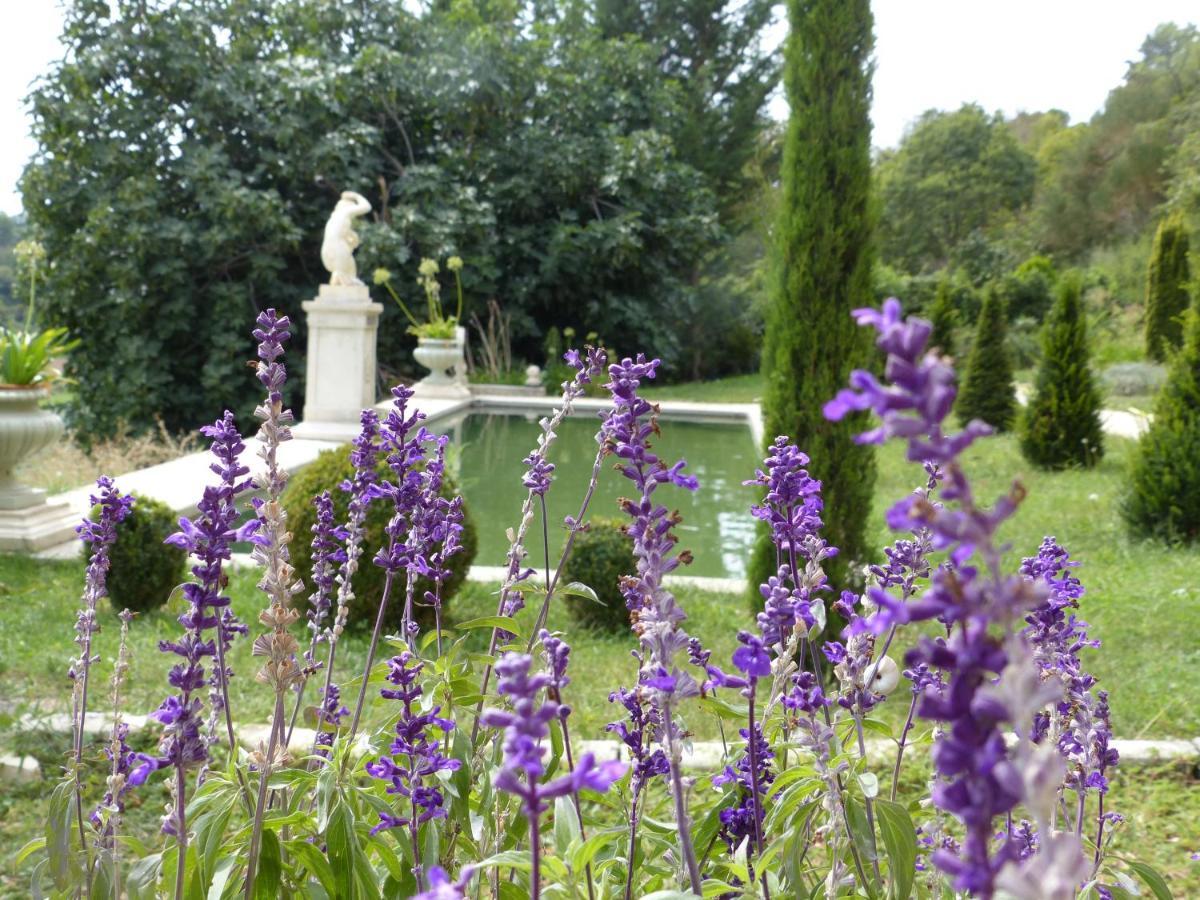 Bed and Breakfast Castello du Grand Jardin Valensole Esterno foto