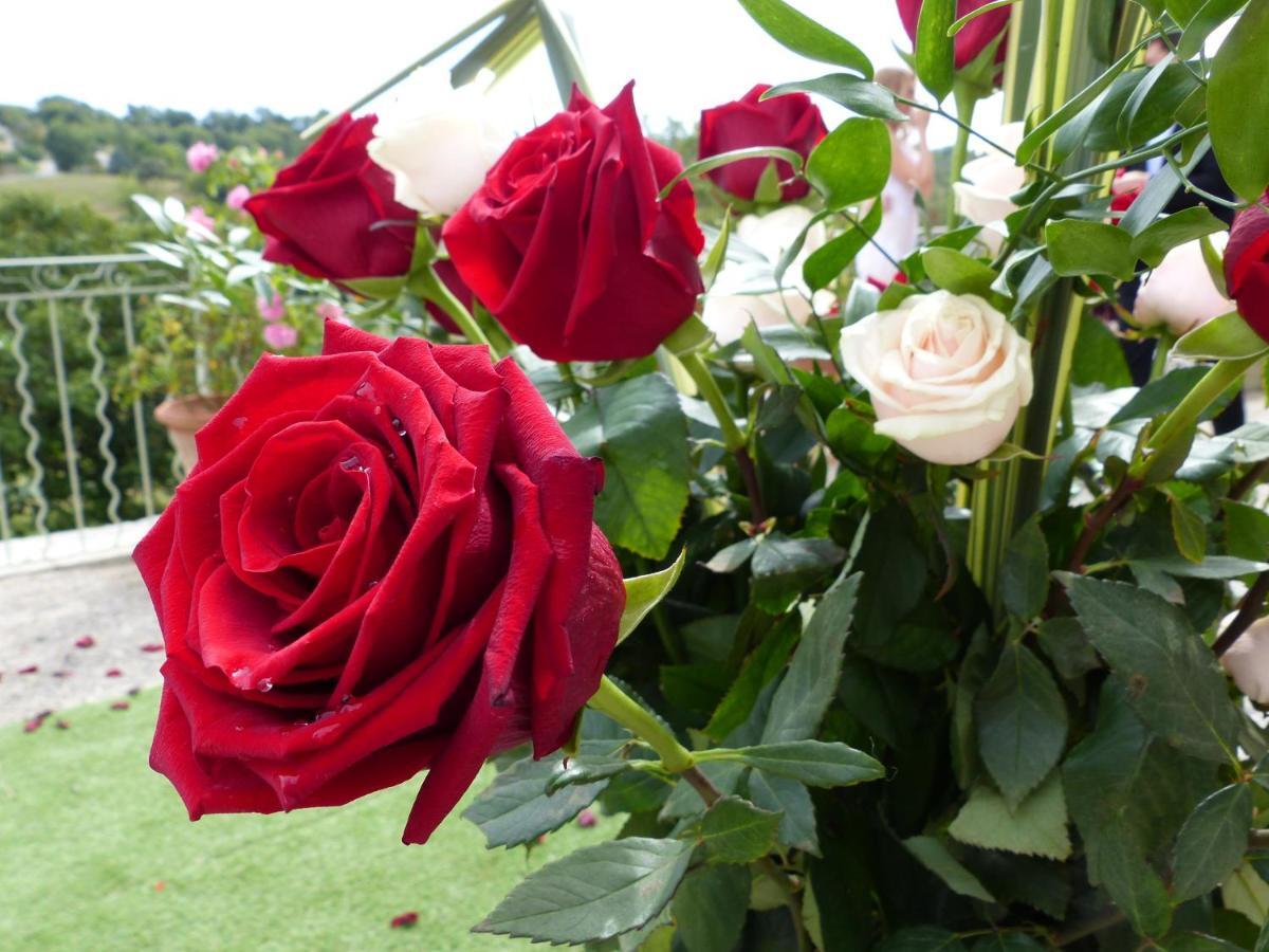 Bed and Breakfast Castello du Grand Jardin Valensole Esterno foto