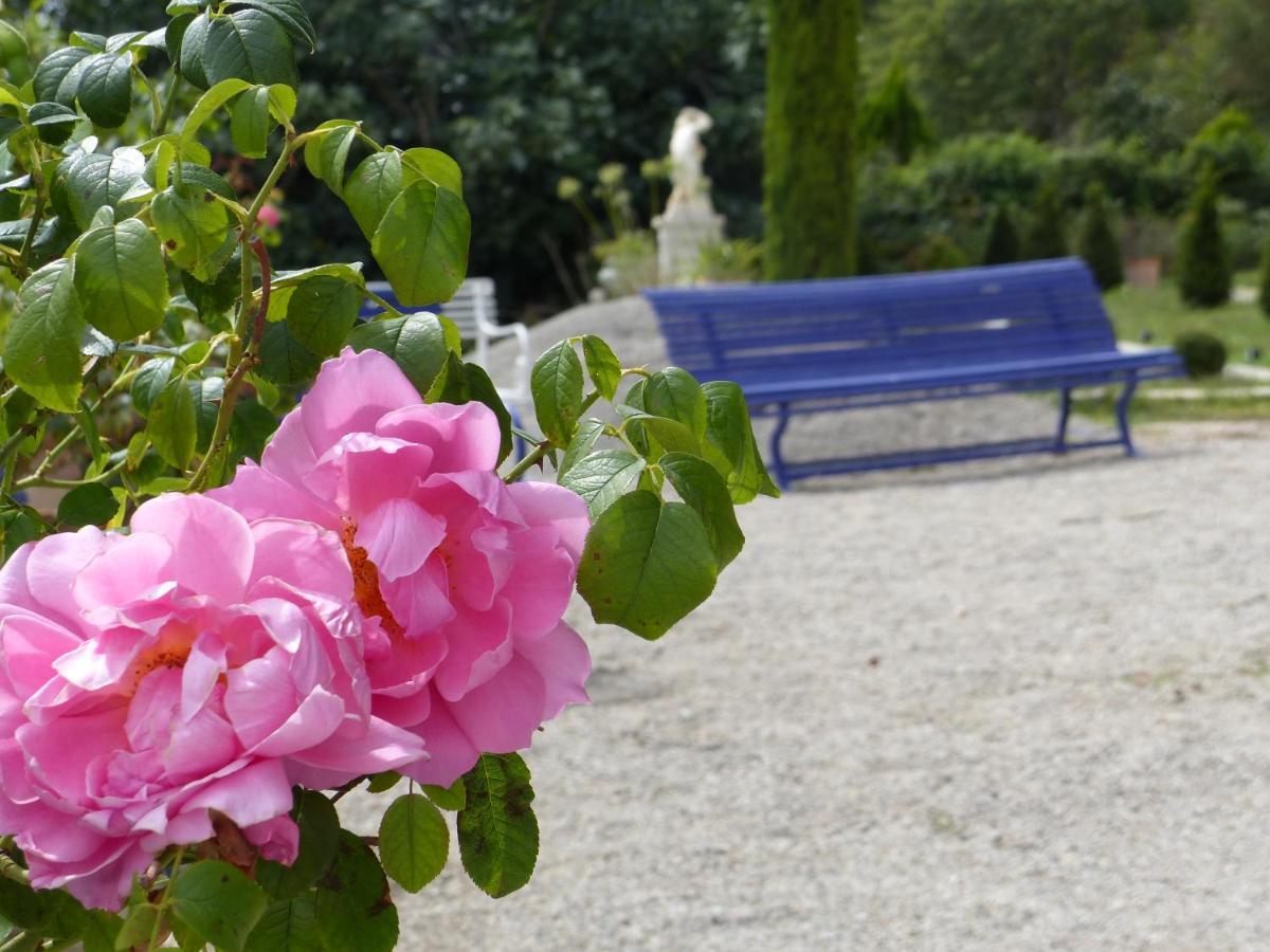Bed and Breakfast Castello du Grand Jardin Valensole Esterno foto