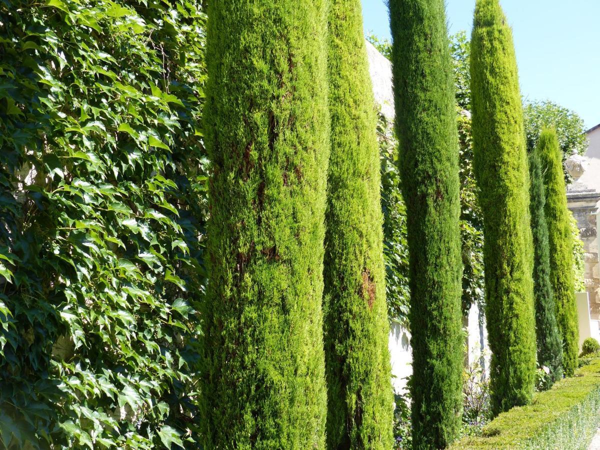 Bed and Breakfast Castello du Grand Jardin Valensole Esterno foto